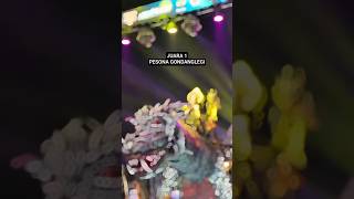 JUARA 1 KARNAVAL PESONA GONDANGLEGI 2025 SINAR DOA FT NEW ABD AUDIO #fypシ