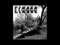 Timber Timbre - Demon Host