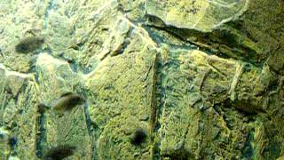 DSCF0971