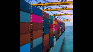 Expert International Movers