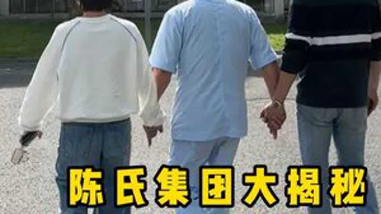 带你们看看我背后的“陈氏集团” 