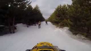 Pine Loop Noquemanon Trail Network Marquette MI