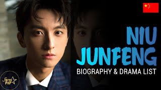 Niu Junfeng (牛骏峰) Biography & Top Drama List | Chinese Actor Niu Junfeng