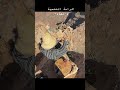 وأنا على قمة الجبل أرتشف الشاي والسكينة وأتأمل كيف أن البساطة وحدها قادرة على مداواة ضجيج الحياة 