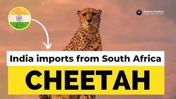 India Brings CHEETAH from South Africa | Environment | IUCN Status #animals #gk #upscexam #wildlife