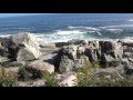 Acadia Ocean Path Trail Hiking