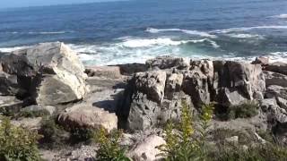 Acadia Ocean Path Trail Hiking