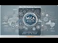 미카법 OES 로드맵 예상Mica OES Roadmap Expected 이재백   본부장 ONEECOTV 240923.
