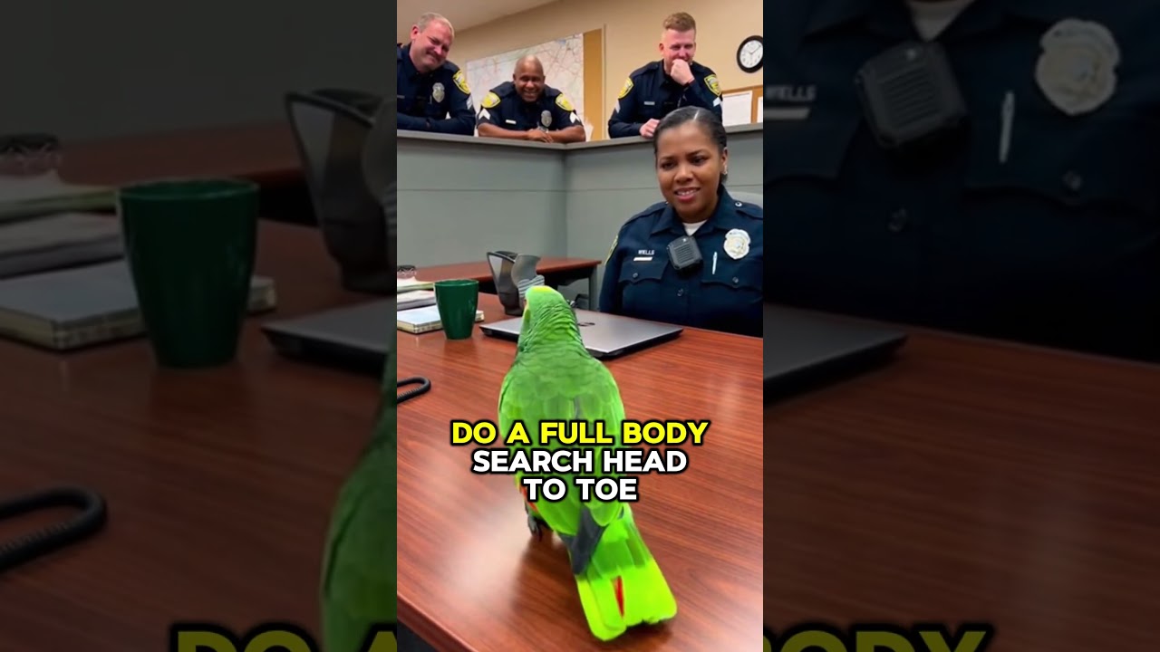 Попугай обманом заставил полицейского провести обыск с полным обнажением 