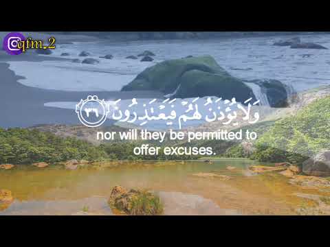 تلاوه خاشعه سورة المرسلات للقارئ الشيخ عبدالرحمن بن مسعد