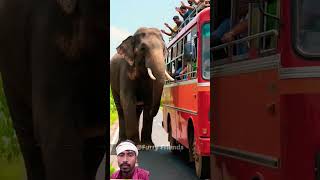 Lord ganesh appears in form of elephant to save people inside bus #elephant #rescue #shorts