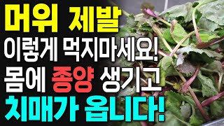 머위 제발 이렇게 먹지 마세요! 봄나물 먹다 암이 생깁니다! 머위와 함께 먹으면 보양식 되는 최고의 음식 3가지와 당뇨 식단으로 건강하게 먹는 방법