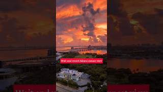 Miami Sunset From My Balcony 🌴🌅  Miami Golden Hour Views #shorts #viralvideo #trending #fyp #foryou