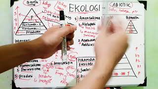 ECOLOGY - Components, Interactions, Pyramids, Trophic