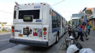 MTA Bus: 2003 New Flyer D60HF Q10 Local Bus #5603 at Jamaica Ave-Lefferts Blvd