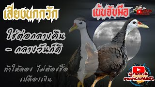 เสียงนกกวักกลางคืน จับมือสบายเลย screenshot 2