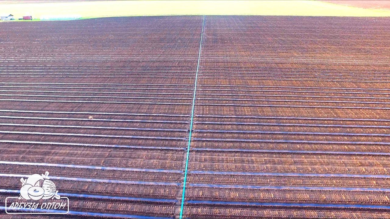 ⁣Запускаем систему капельного полива 17 05 2016