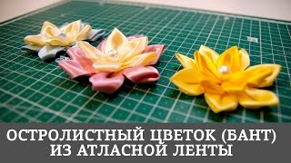 Остролистный цветок (бант) из атласной ленты Остролистный цветок (бант) из атласной ленты