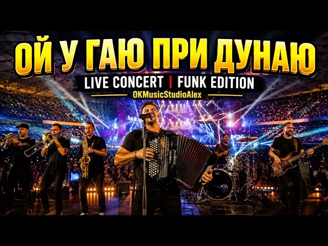 Ой у гаю при Дунаю (Funk Edition) — Наче живий стадіон! 🔥 #OKMusicStudioAlex