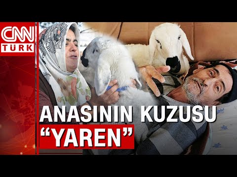 Video: Çocuklar Onları Kimin Sevdiğini Hisseder