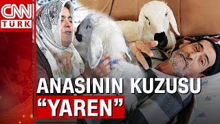 Çocukları olmayan çift kuzu Yaren'i sahiplendi