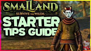 SMALLAND BEGINNERS GUIDE! Where To Go? How To Build And What To Do First! Smalland: Survive The Wild