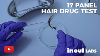 17 Panel Hair Drug Test | What does it test for?
