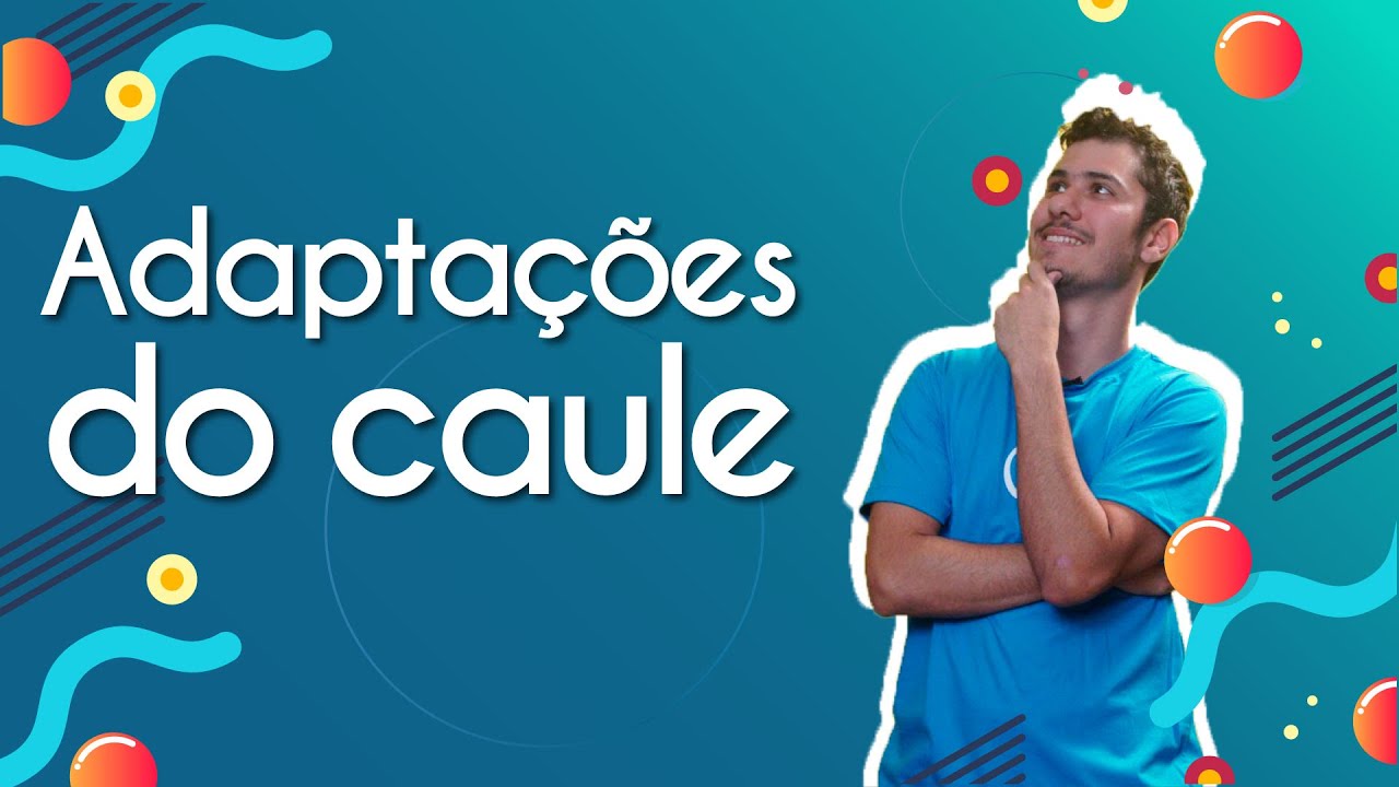 Adaptações do caule - Brasil Escola