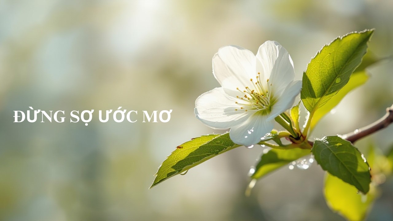 #106 Hoa Chanh Trắng Tím 🌸 Và Mình Học Cách Dám Mơ Lớn! 02/12/2026