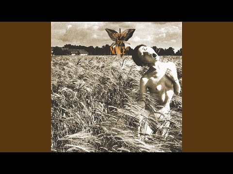 Noyce™ — Coma