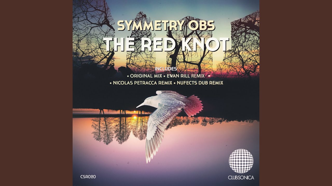 The Red Knot (NuFects Dub Remix)