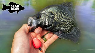 The Slip Float Rig Is Great For The CRAPPIE SPAWN [Slab Stories]