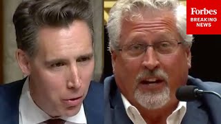 Celebrity Hawley To Witness: 'Did You Think That Allstate Might Retaliate Against You For Your Testimony?' Wealth