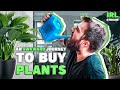 Awkward Aussie Adventure To Buy Plants (IRL Stream)