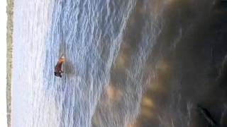 Colonel Buster Wyldkat Swimming