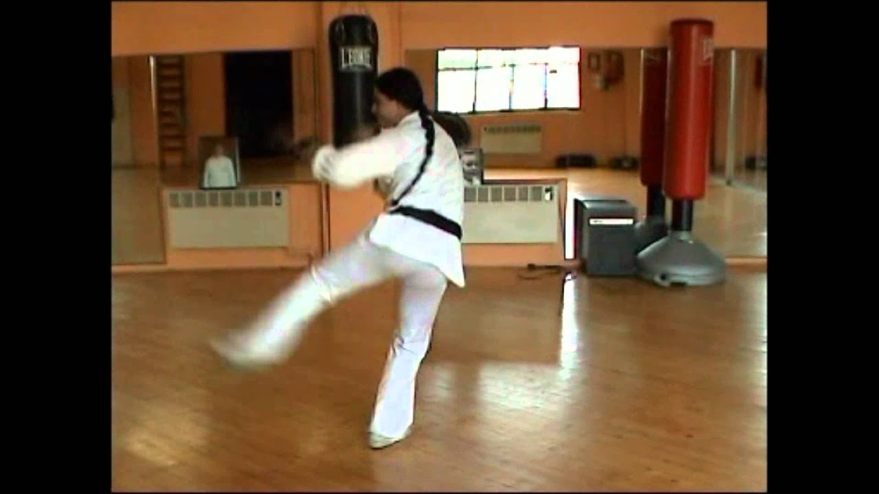 kung fu scuola Chang M° Gabriele Bonifazi