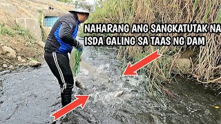 Catch and Cook | Hala Nagsibabaan Ang Sobrang Daming Isda Sa Bunganga Ng Dam 😱 screenshot 4