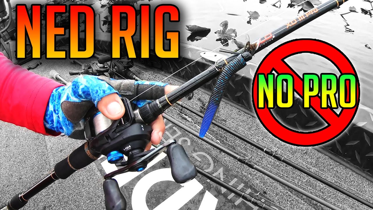 НИ ОДИН ПРОФЕССИОНАЛ не будет ловить рыбу на такую ​​оснастку!!! (Тренировка на турнире в Киссимм...