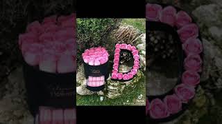 ١٤ فبراير ٢٠٢١