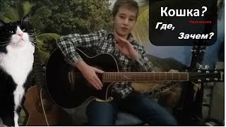 Прикольная песня про пушистого мягкого кота Прикольная песня про пушистого мягкого кота
