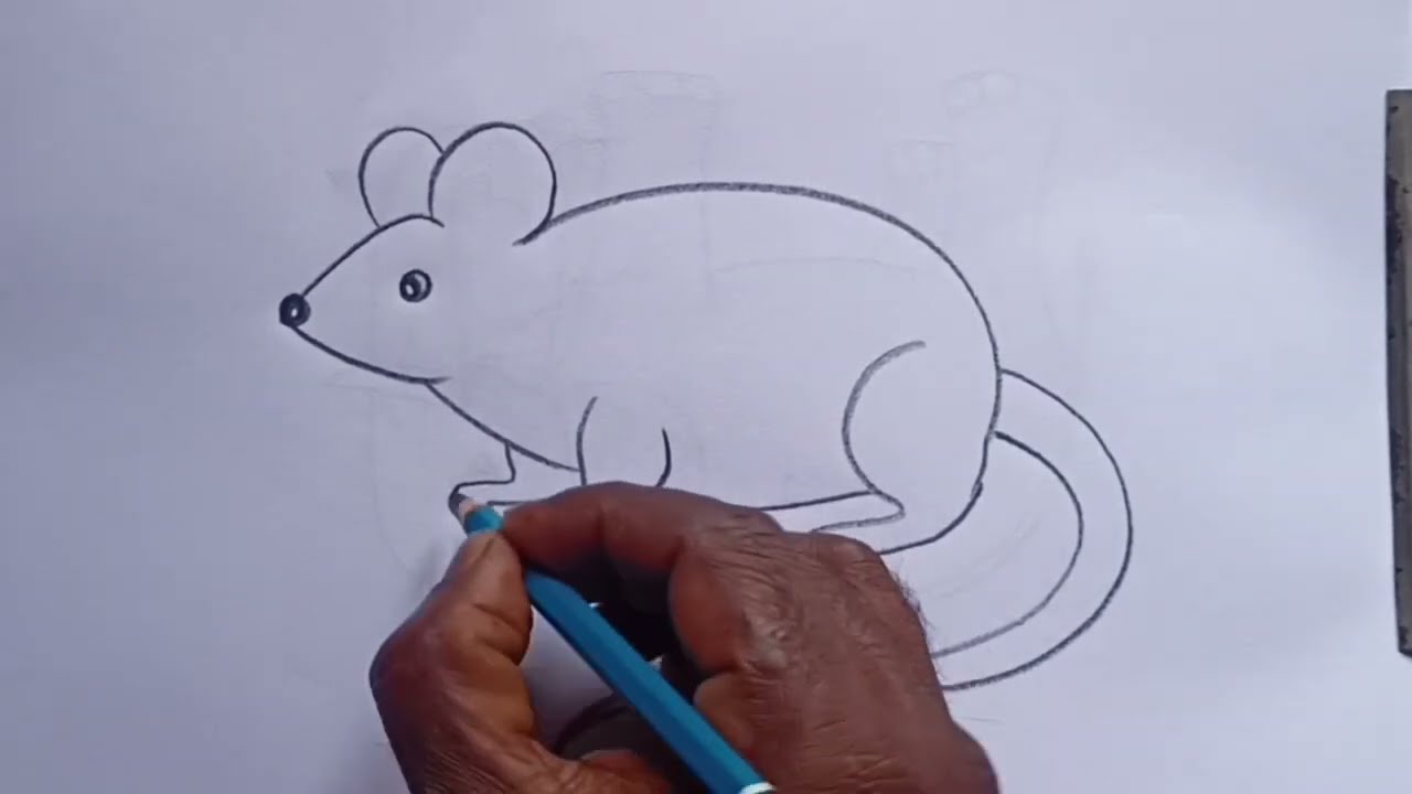 How to draw rat drawing easy step by step || Rat Drawing For Beginners  @amishaartcorner998 - YouTube
