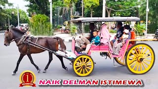 NAIK DELMAN ISTIMEWA Terbaru ~ Lagu NAIK DELMAN Terpopuler Sepanjang Masa