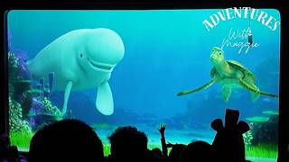 Famous Turtle Talk With Crush - POV February 2026 California Adventure Attraction Vlog #322 Profile