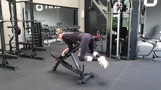 Incline Bench Frog Reverse Hyperextension