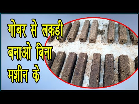 वीडियो: भृंगों से लकड़ी के घर का फॉस्फीन धूमन