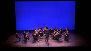 Mozart Symphony n°25 Kv. 183 (III) - OCNE - Nicolas Krauze
