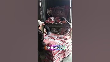 Bốc vác đêm – Giải pháp cho doanh nghiệp làm ca tối