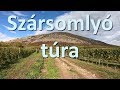 Szársomlyó túra - Nagyharsányi-hegy