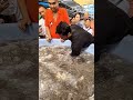 The boy caught many shrimps in his hand😱