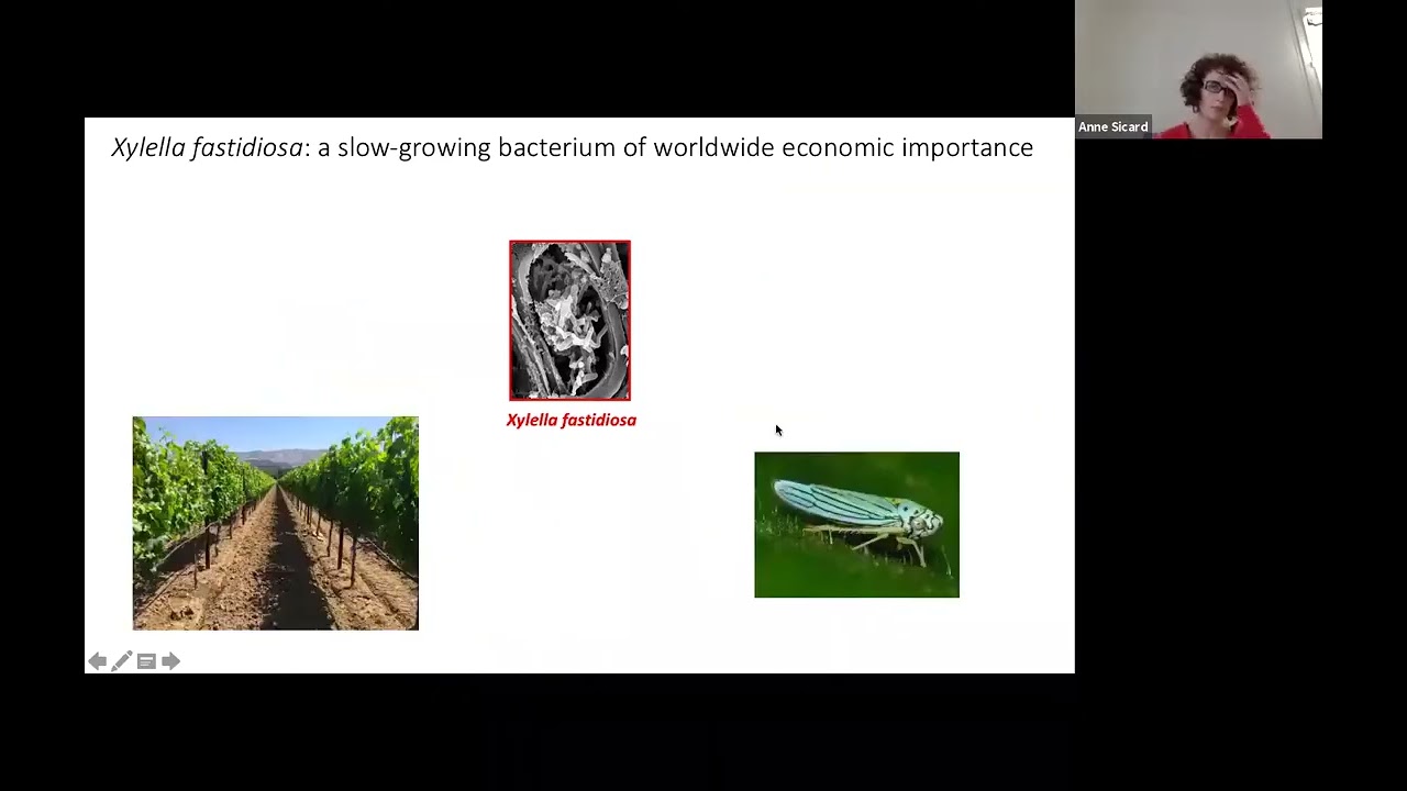 What's New in MPMI with Anne Sicard